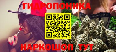 spice Камышлов
