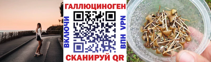 OMG ТОР  Соль-Илецк  Галлюциногенные грибы Psilocybine cubensis 