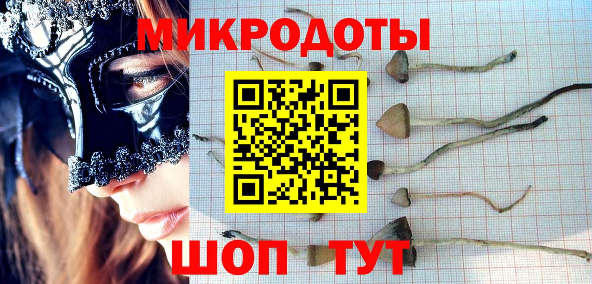 Галлюциногенные грибы ЛСД Соль-Илецк
