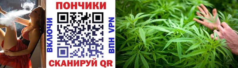 наркота  Соль-Илецк  Бошки Шишки AK-47 